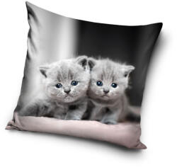  Cicás Twins párnahuzat 40x40 cm Velúr