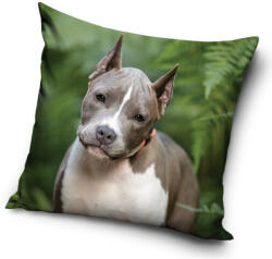  Kutyás Pit Bull Terrier párnahuzat 40x40 cm (CBX195003PD) - ostore