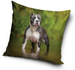  Kutyás Amstaff párnahuzat 40x40 cm