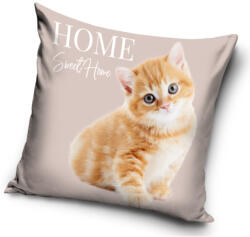  Cicás Home párnahuzat 40x40 cm Velúr (CBX214094PNL) - ostore
