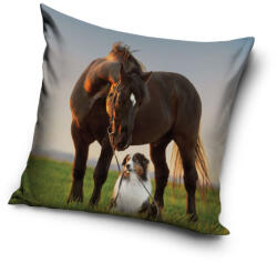  Lovas Sunset Companions párnahuzat 40x40 cm (CBX231190PNL) - ostore
