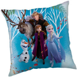  Disney Jégvarázs Family párnahuzat 40x40 cm Velúr (JFK036501) - ostore