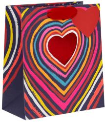 BSB ajándéktasak (20x22, 5x10 cm) színes szíves, Big Love (6) (GMP2511)