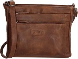 Beagles Murcia 20342 Brown