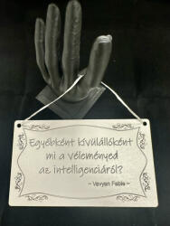  „Egyébként kívülállóként mi a véleményed az intelligenciáról? - Szarkasztikus dekoráció a gondolkodóknak! (FEI05)