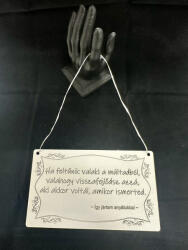  „Ha feltűnik valaki a múltadból. . . - nosztalgikus és elgondolkodtató tábla (FEI04)