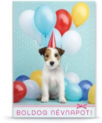 Ars Una névnapi üdvözlő extra borítékos képeslap B lufis csákós kutya (8445) (00384452)