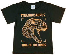 Asti Rövid ujjú fiú póló dinoszauruszos mintával (25809902098)