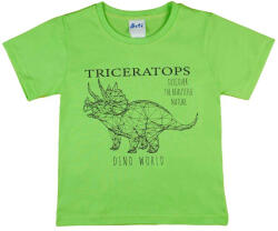 Asti Rövid ujjú fiú póló dinoszauruszos mintával (25809903098)