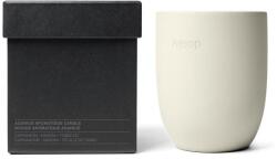 Aesop Home&Lifestyle Aganice Aromatique Candle Lumanari 300 g