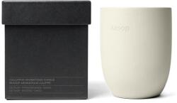 Aesop Home&Lifestyle Callippus Aromatique Candle Lumanari 300 g