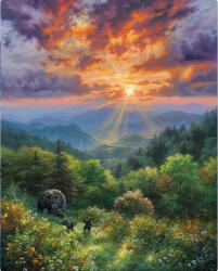 Figured Art Set pictura pe numere, cu sasiu, Urs la apus de soare, 40x50 cm (FA10001-Y)