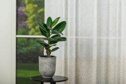 MENDOLA Perdea cu rejansă Splash Bej 1908 - Perdea elegantă cu broderie florală și bordură decorativă