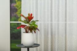 MENDOLA Perdea cu rejansă Splash Alb 1906 - Perdea elegantă cu broderie florală și bordură decorativă