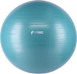 Fitforce Gym Antiburst 65 (gymantiburst65_u26b) Minge fitness