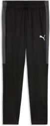 PUMA Individualliga Training Pants (66057203)