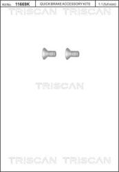 TRISCAN Set surub, disc frana TRISCAN 8105 116010 (8105 116010)