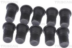 TRISCAN Surub, disc frana TRISCAN 8105 11666 (8105 11666) - automobilus