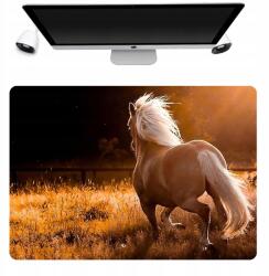  Védőalátét 50x35 Lórajongóknak Mintákkal (Podkładka Pod Mysza Nadruki Różne Mix Wzorów)