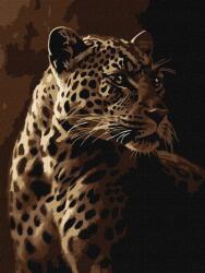 Ideyka Festmény Számok Szerint Leopárd Tekintet 30X40CM (KHO6668)