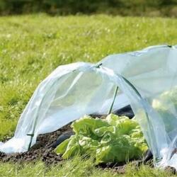 GardenLine Mini kerti üvegház fólia 1, 5x4m összecsukható (EVA5417)