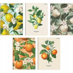 TOP-2000 Füzet A5 60 lapos vonalas 70g Summer, Top-2000 (5904017431282)