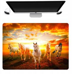  Asztali Alátét Védő Szőnyeg 50x35 Lovas Minták (Podkładka Różne Nadruki Wzory Pod Mysz)