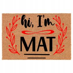 TabPrint Lábtörlő Vicces Mintákkal, 40x60 cm-es Méretben, Otthonra (40x60 wycieraczka_kokosowa)