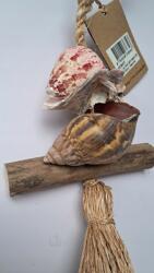 Dijk „Ronan fali dekoráció, 3 x 12 x 43 cm lógó kagyló mix