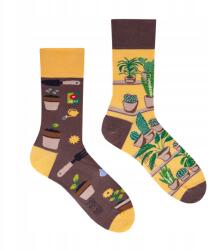Spox Sox Növényes kerti zokni Spox Sox méret 44-46