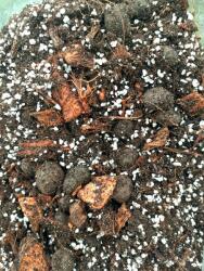  Keverék univerzális táptalaj Bigos 10L (Bigos 10L Ziemia)