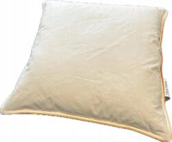 Textom Pehelypárna 70X80 Liba Pehely Fehér Kiváló Minőségű Lengyel Termék 1KG (Poduszka puchowa 70x80 1kg biała)