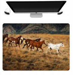  Védőalátét 50x35 Lórajongóknak Mintákkal (Mata 50x35 Na Biurko Nadruk Ciekawe Wzory)