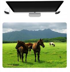  Asztali Alátét Védő Szőnyeg 50x35 Lovas Minták (Podkładka Mata Na Biurko 50x35 Wzory)