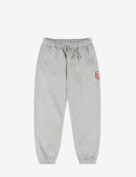 Prosto Férfi szürke melegítőnadrág Prosto Infine S (5907494512635)