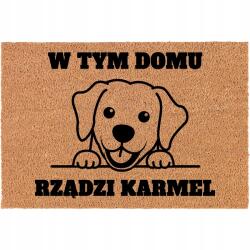 TabPrint Elegáns Lábtörlő 60x40cm Kókusz Kisállat Névvel Különböző Minták (Kokosowa Wycieraczka Frontowa Personalizowana)