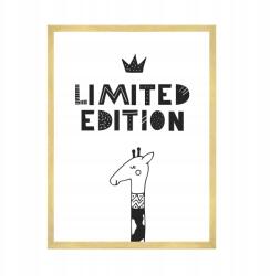  Gyerekposzter Limitált kiadás 50x70 cm arany keret (MP1-0225_50X70,045)