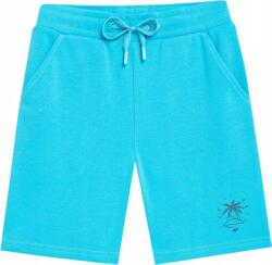 4F Fiú Rövidnadrág 4F M047 Kék 4FJSS23TSHOM047 35S r 146cm (TSHOM047)