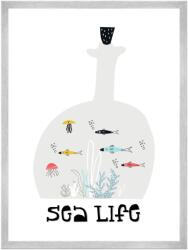  Gyerekposzter Tengeri élővilág 21x29, 7 cm ezüst keret (MP1-0203_21X29,7,039)