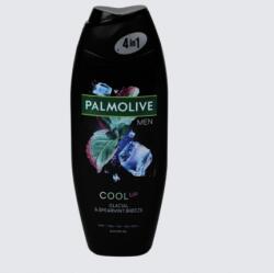 Palmolive Men Cool Up tusfürdő 500 ml (żel męski)