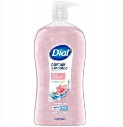 Dial Hidratáló tusfürdő testre Dial Silk & Magnolia 946ml (017000164625)