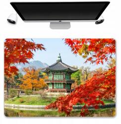  Asztali Alátét Védő Szőnyeg 50x35 Korea Minták (Podkładka Na Biurko Mix Wzorów ciekawy Nadruk)