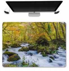  Asztali Alátét Védő Szőnyeg 50x35 Natura Minták (Podkładka Pod Mysz Różne Nadruki Mix Wzrów)