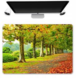  Asztali Alátét Védő Szőnyeg 50x35 Őszi Minták (Podkładka Mata Na Biurko 50x35 Wzory)