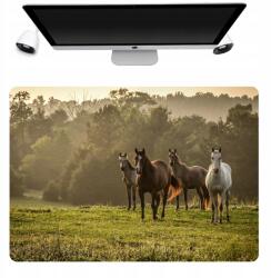  Asztali Alátét Védő Szőnyeg 50x35 Lovas Minták (Podkładka Pod Mysza Nadruki Różne Mix Wzorów)