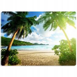  Asztali Alátét Védő Szőnyeg 50x35 Pálma Mintás (Mata Pod Klawiaturę Mix Nadruków)