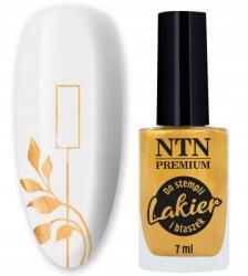 NTN Premium Bélyegzőlakk Körömminták Arany Ntn 7ml+LEMEZ (5903990514579)