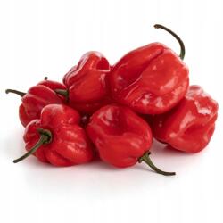  Habanero paprika - 100g Csípős