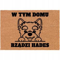 TabPrint Elegáns, Személyre Szabott Bejárati Lábtörlő 60x40cm Kutya Névvel, Különböző Minták (Kokosowa Wycieraczka Frontowa Personalizowana)