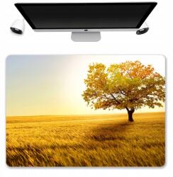  Asztali Alátét Védő Szőnyeg 50x35 Őszi Minták (Mix Wzorów Mata Pod Klawiatuę Wzory)